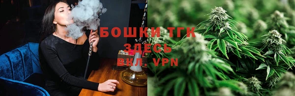 таблы Грязовец