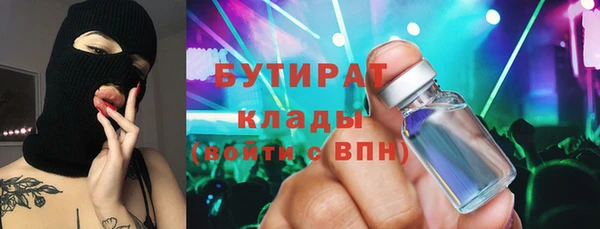 прущие грибы Пестово