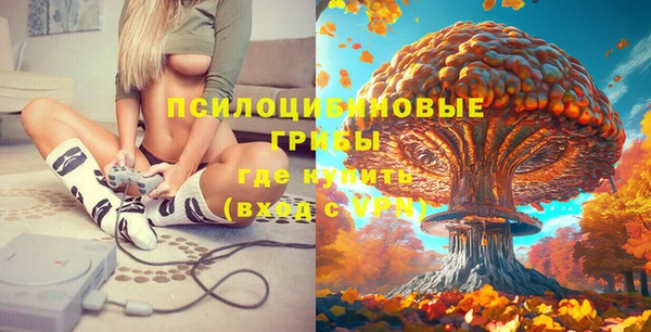 прущие грибы Пестово