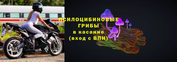 мяу мяу мука Пересвет
