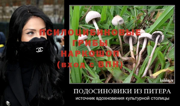 мяу мяу мука Пересвет