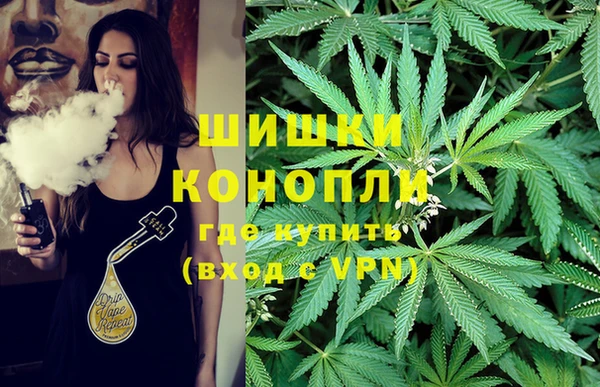 трава Переславль-Залесский