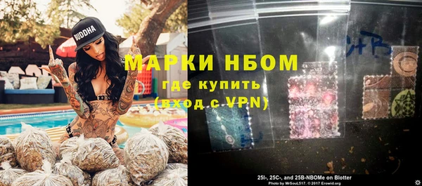 прущие грибы Пестово