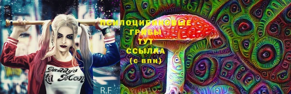 трава Переславль-Залесский