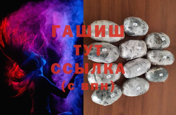 гашик Гатчина
