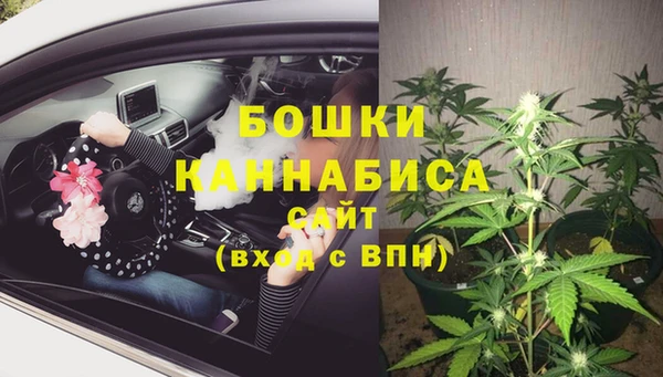 прущие грибы Пестово