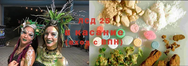 прущие грибы Пестово