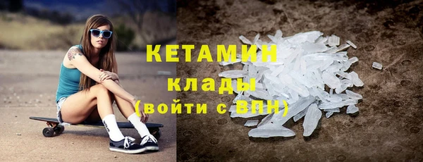 прущие грибы Пестово