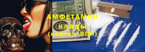 прущие грибы Пестово