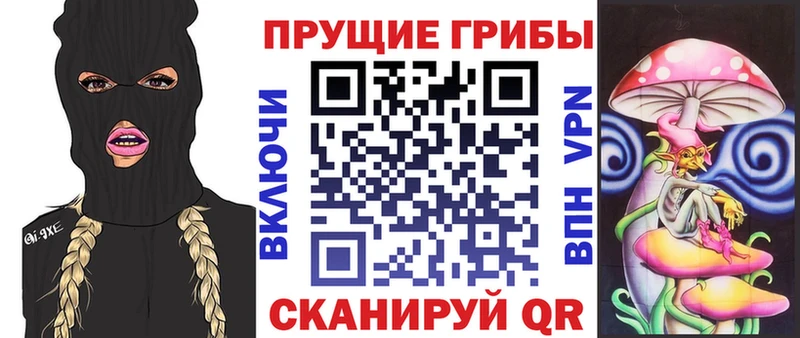 Псилоцибиновые грибы Psilocybine cubensis Починок