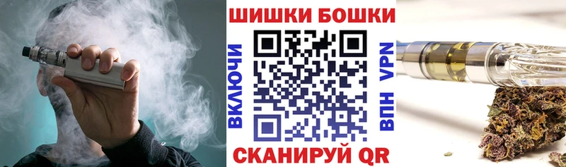 Конопля планчик  Починок 